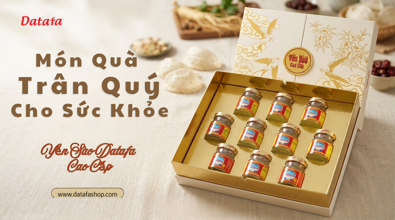 Vậy yến sào là gì, mang lại những lợi ích gì cho sức khỏe và tại sao nó lại là "vũ khí bí mật" giúp người mới ốm dậy lấy lại phong độ nhanh nhất? Hãy cùng DATAFA khám phá chi tiết qua bài viết dưới đây.